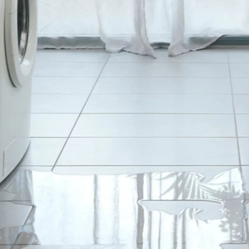 Appliance Leak Cleanup in Oxford, MI