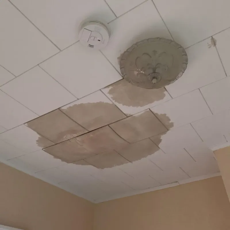 Ceiling Water Damage Repair in Oxford, MI