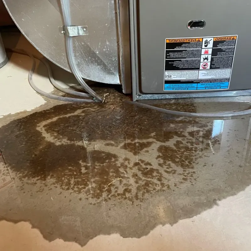 Pipe Burst and Leak Restoration in Oxford, MI