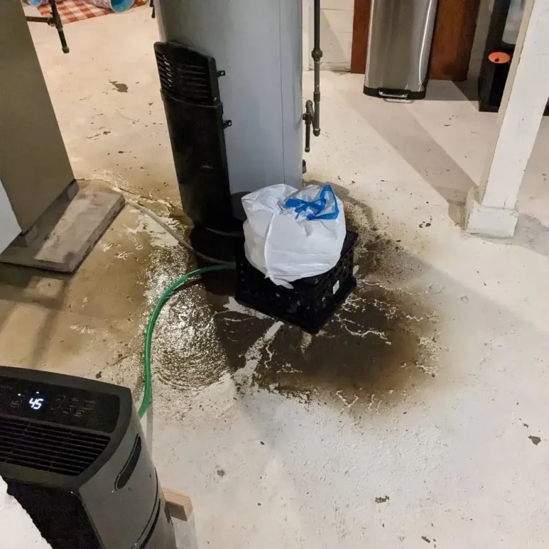 Sewage Backup Cleanup Service in Oxford, MI